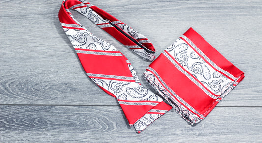 Paisley Print Silk Bow Tie Set