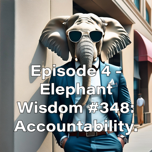 Episode 4 - Elephant Wisdom #348: Accountability. - Sons of SPPhillips